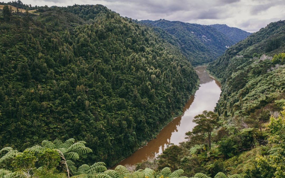 stuff.co.nz: Accountants’ local knowledge adds value in regions